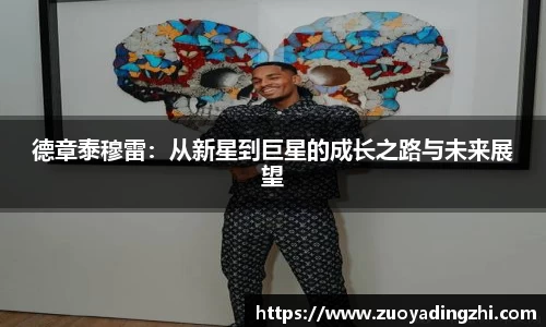 OB视讯平台