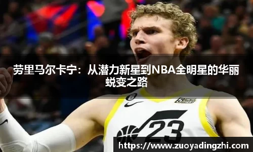 OB视讯