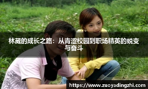 OB视讯官方网站